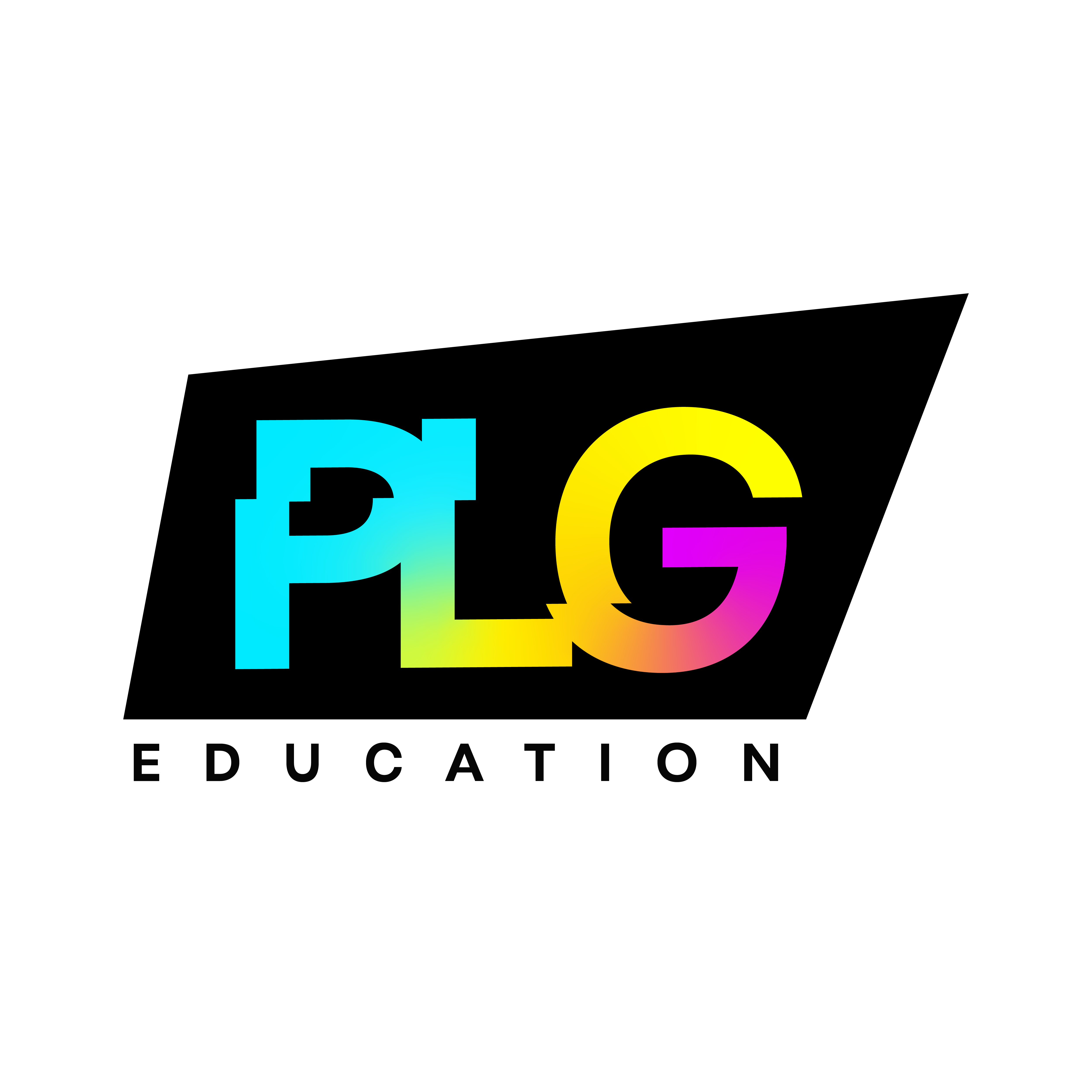 Logo PLG recuadro negro